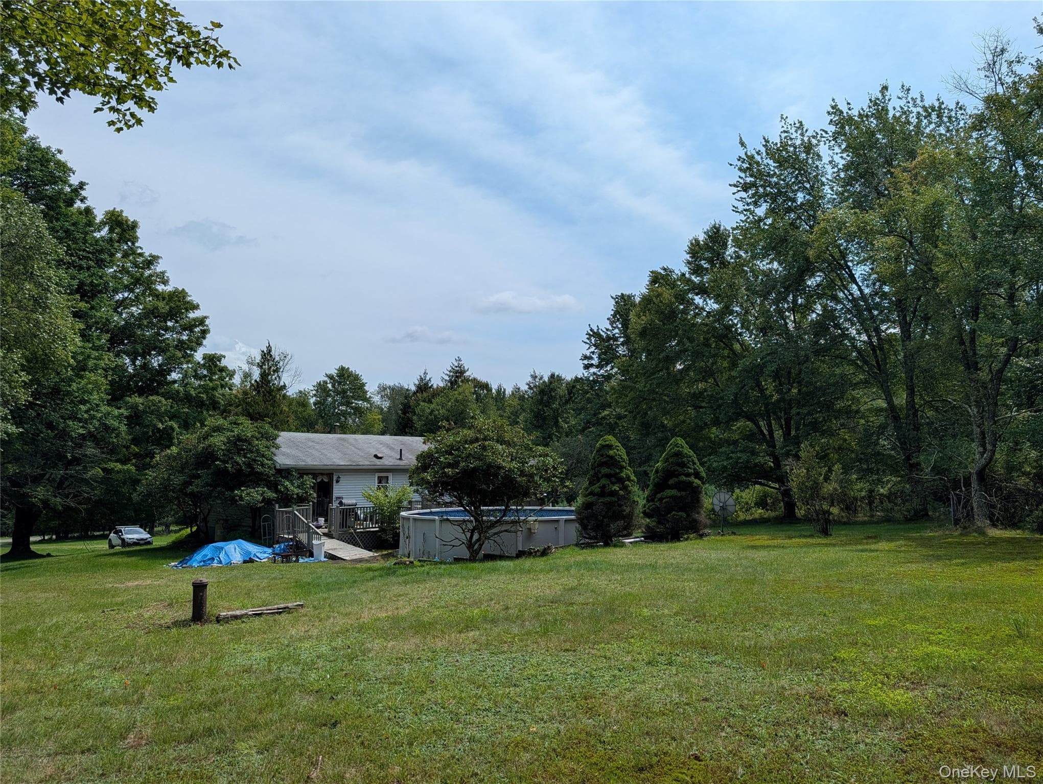 77 Murphy Road thumbnail 25
