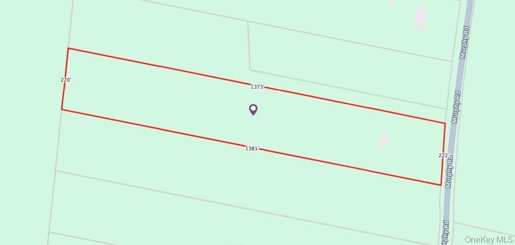 77 Murphy Road thumbnail 29