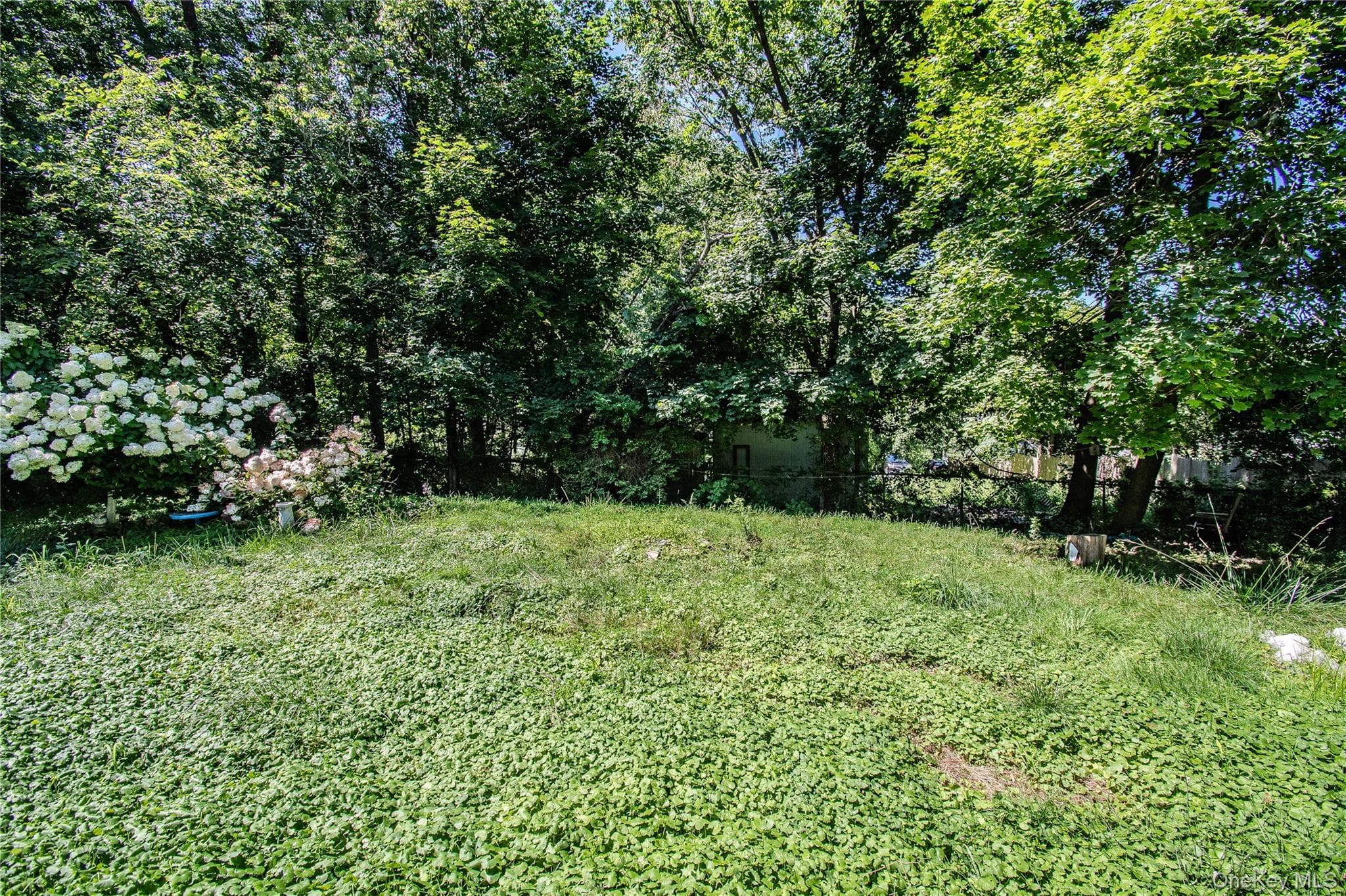 60 Higgins Trail thumbnail 30