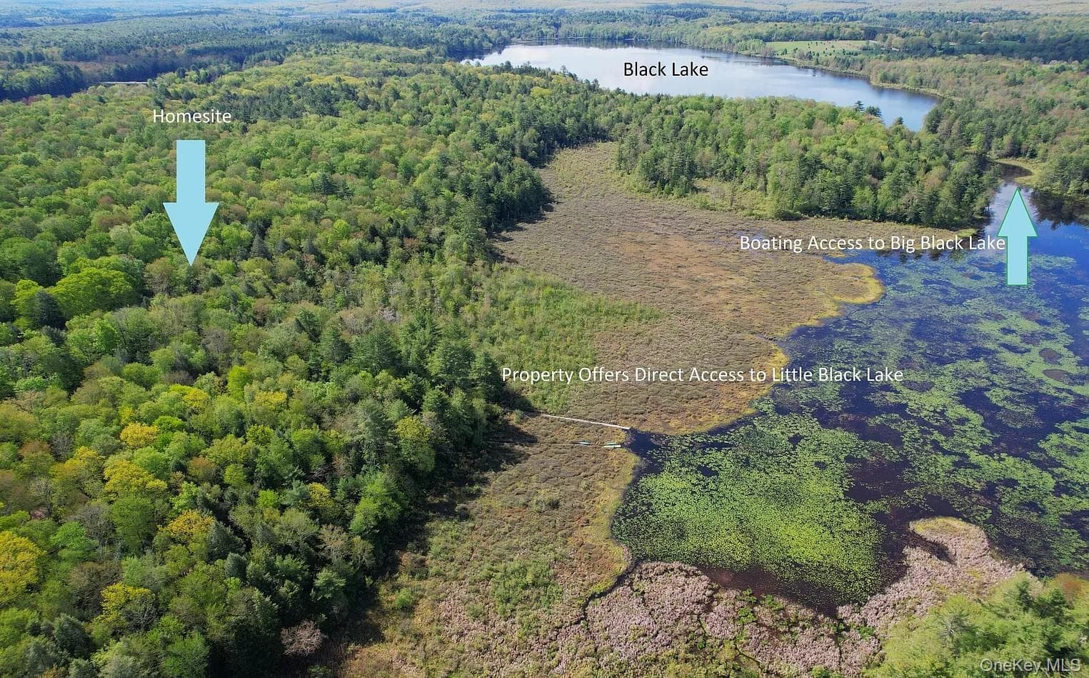 Lot 4 Deer Meadow Road thumbnail 3
