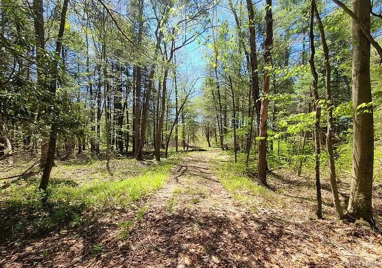 Lot 4 Deer Meadow Road thumbnail 4