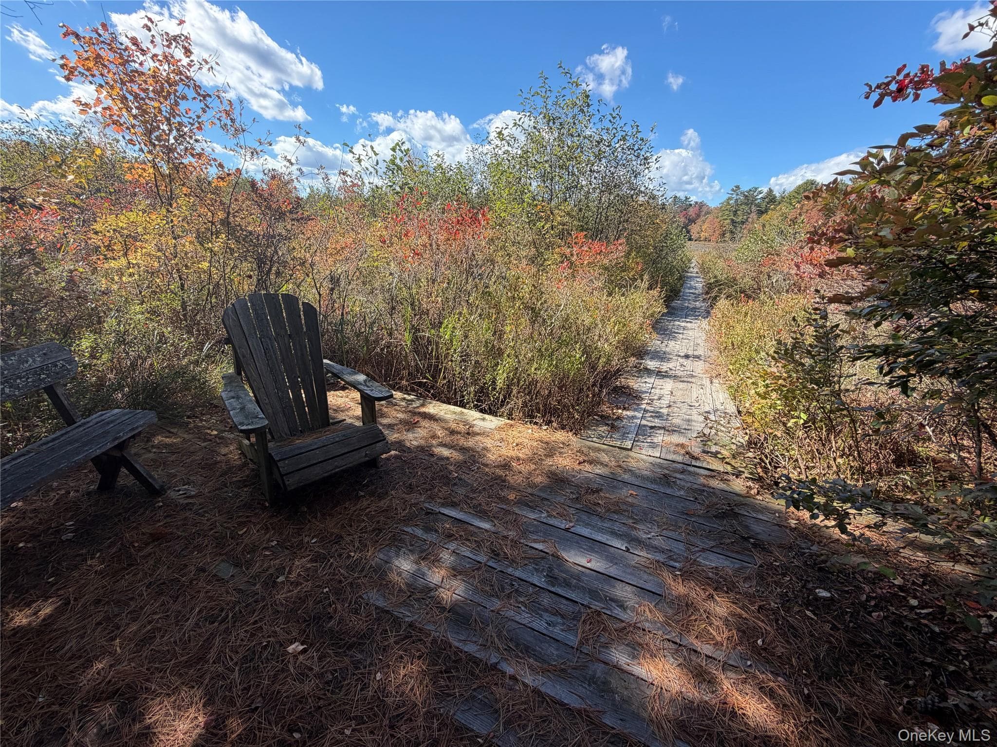 Lot 4 Deer Meadow Road thumbnail 7