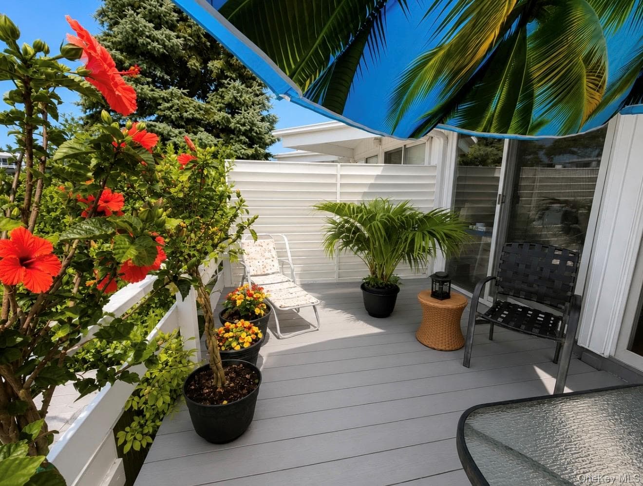 35 Library Avenue AVE Unit: 8 R thumbnail 15