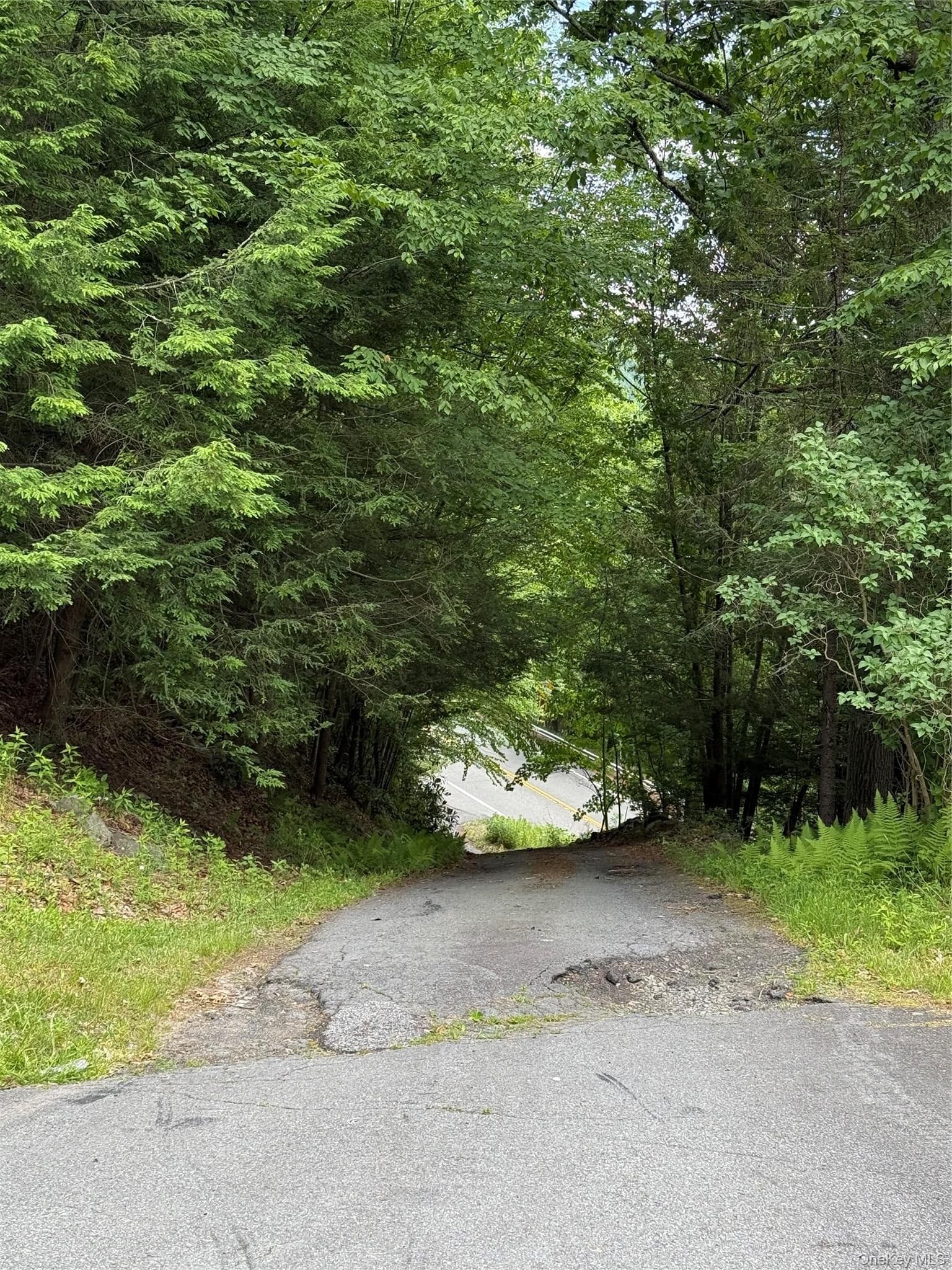 592 State Highway 97 thumbnail 10