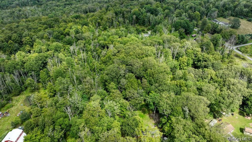 181 Oakridge Road thumbnail 16