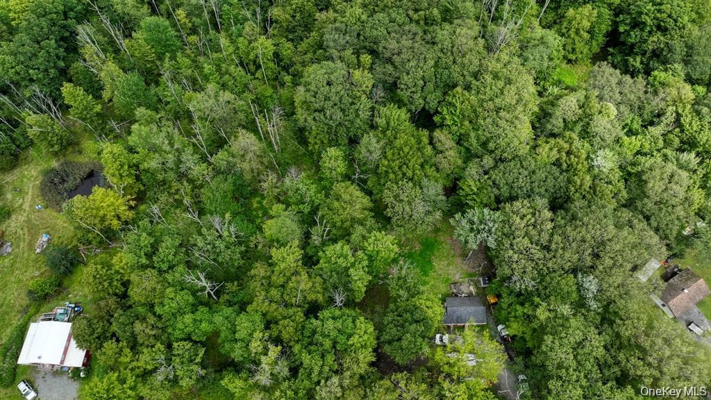 181 Oakridge Road thumbnail 17