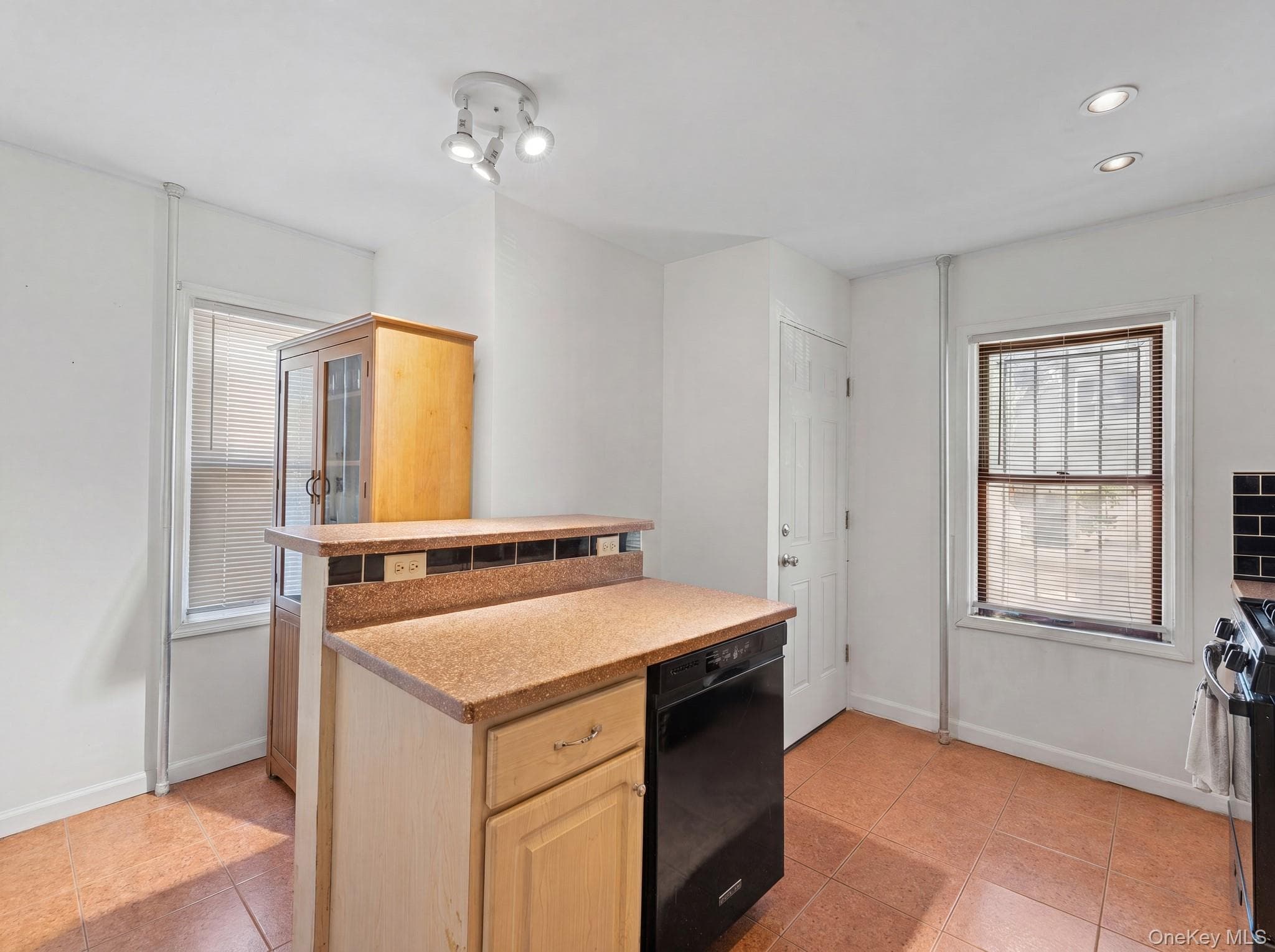1511 E 51st Street thumbnail 11