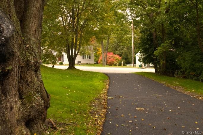 11 Everett Road thumbnail 25