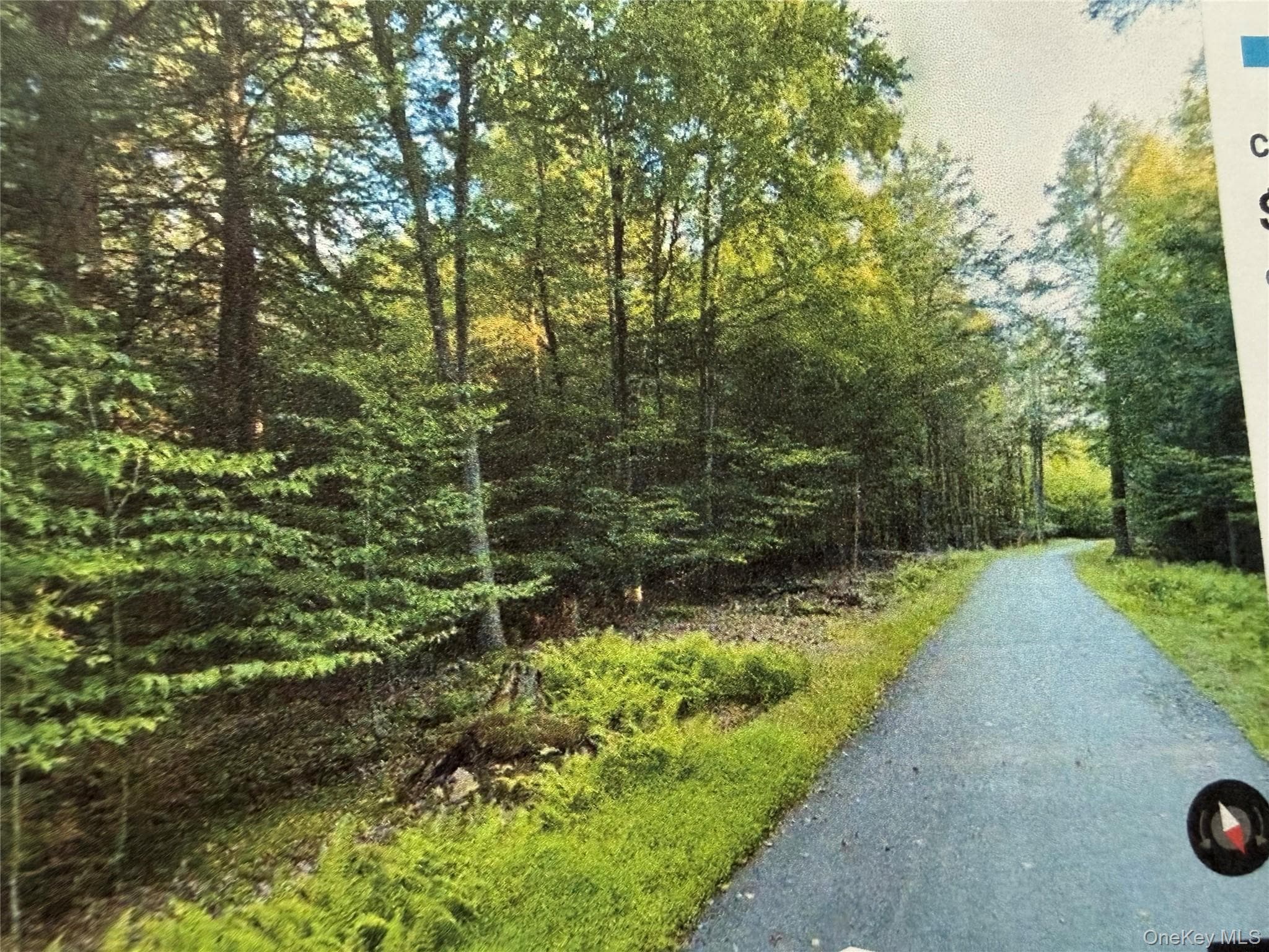 Highview Drive photo 1
