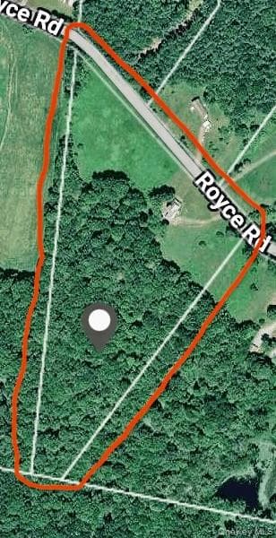 70 Royce Road thumbnail 48