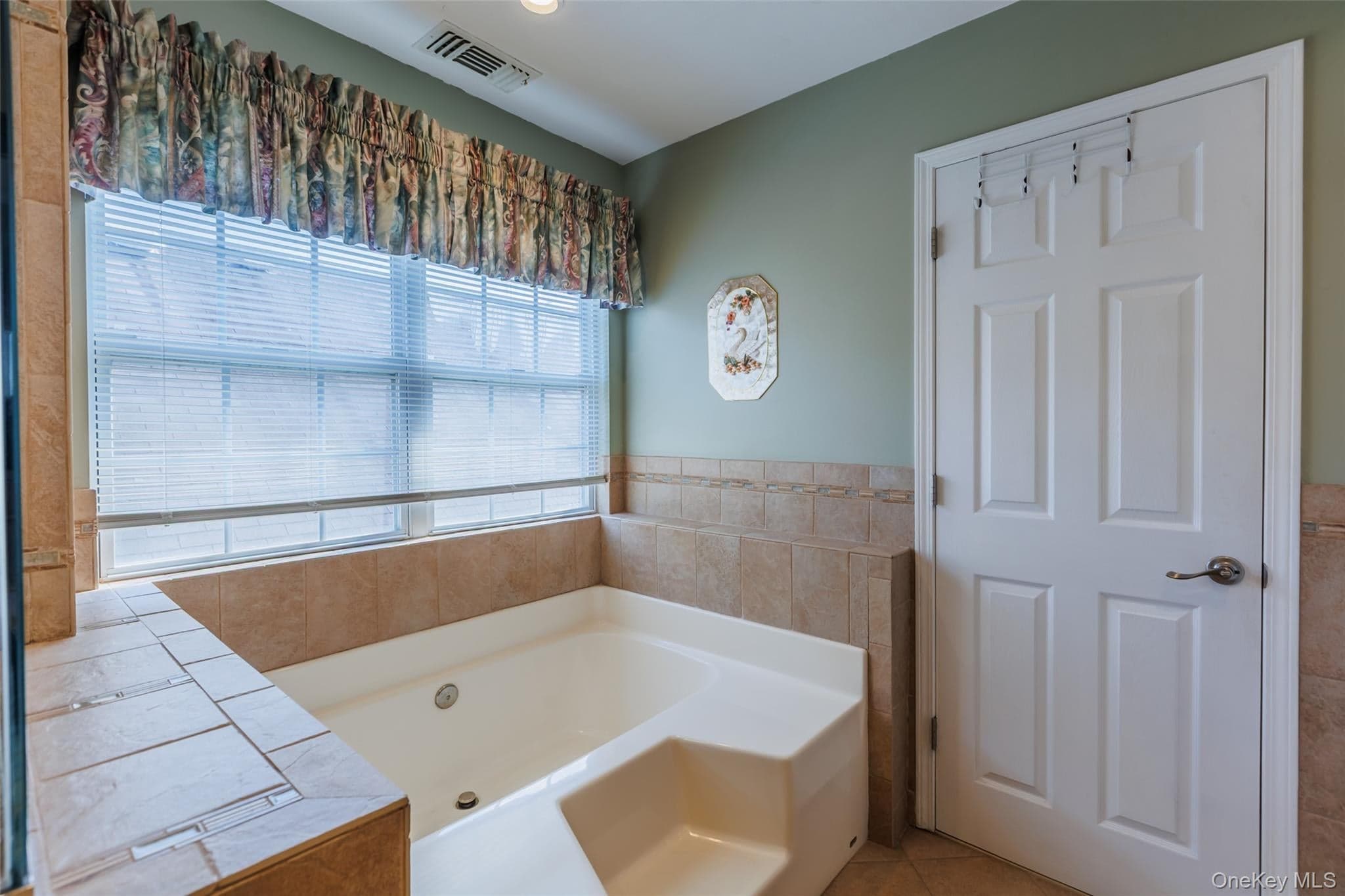 619 Spring Lake Drive thumbnail 18