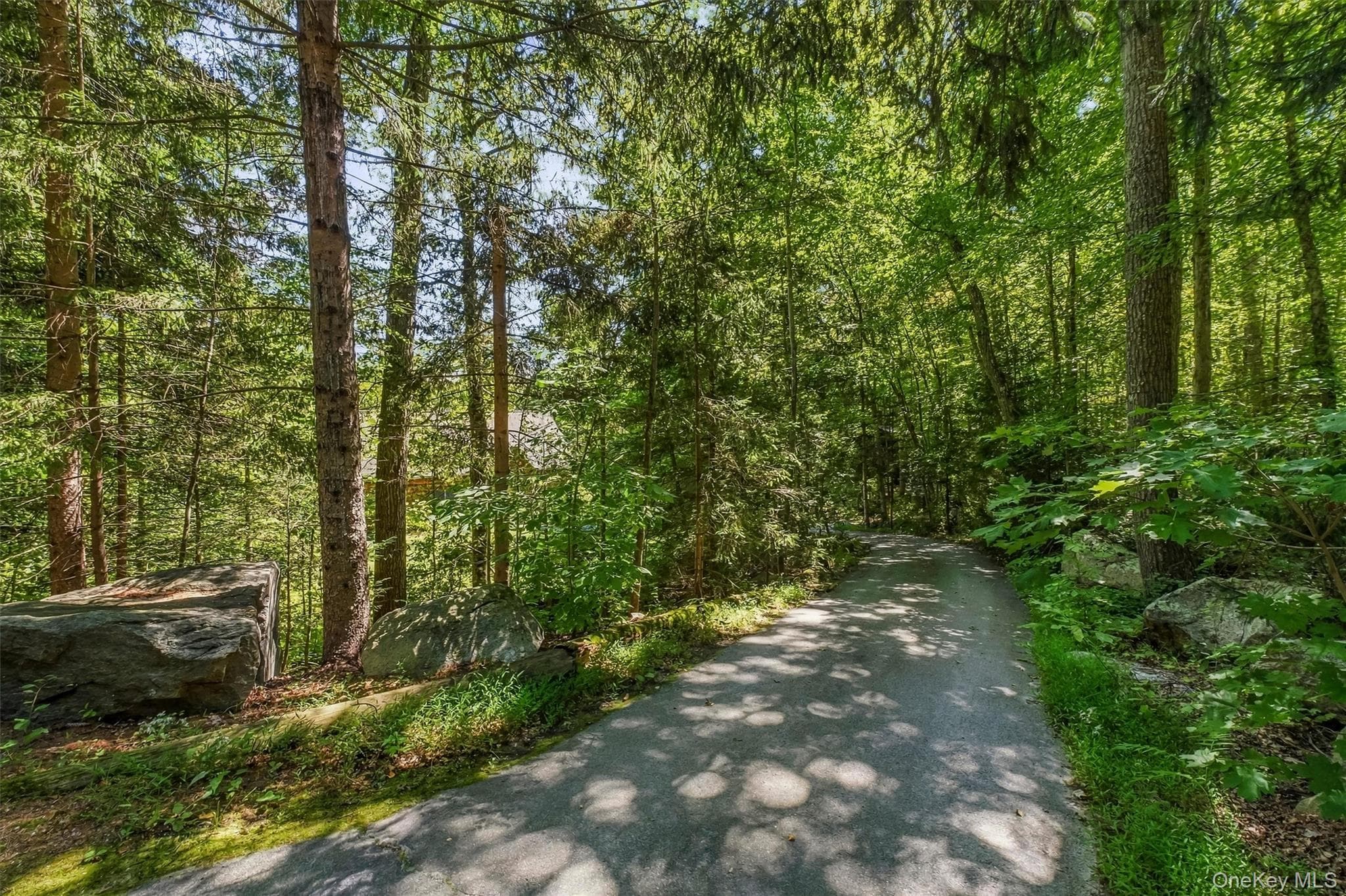 104 Old Forge Drive thumbnail 39