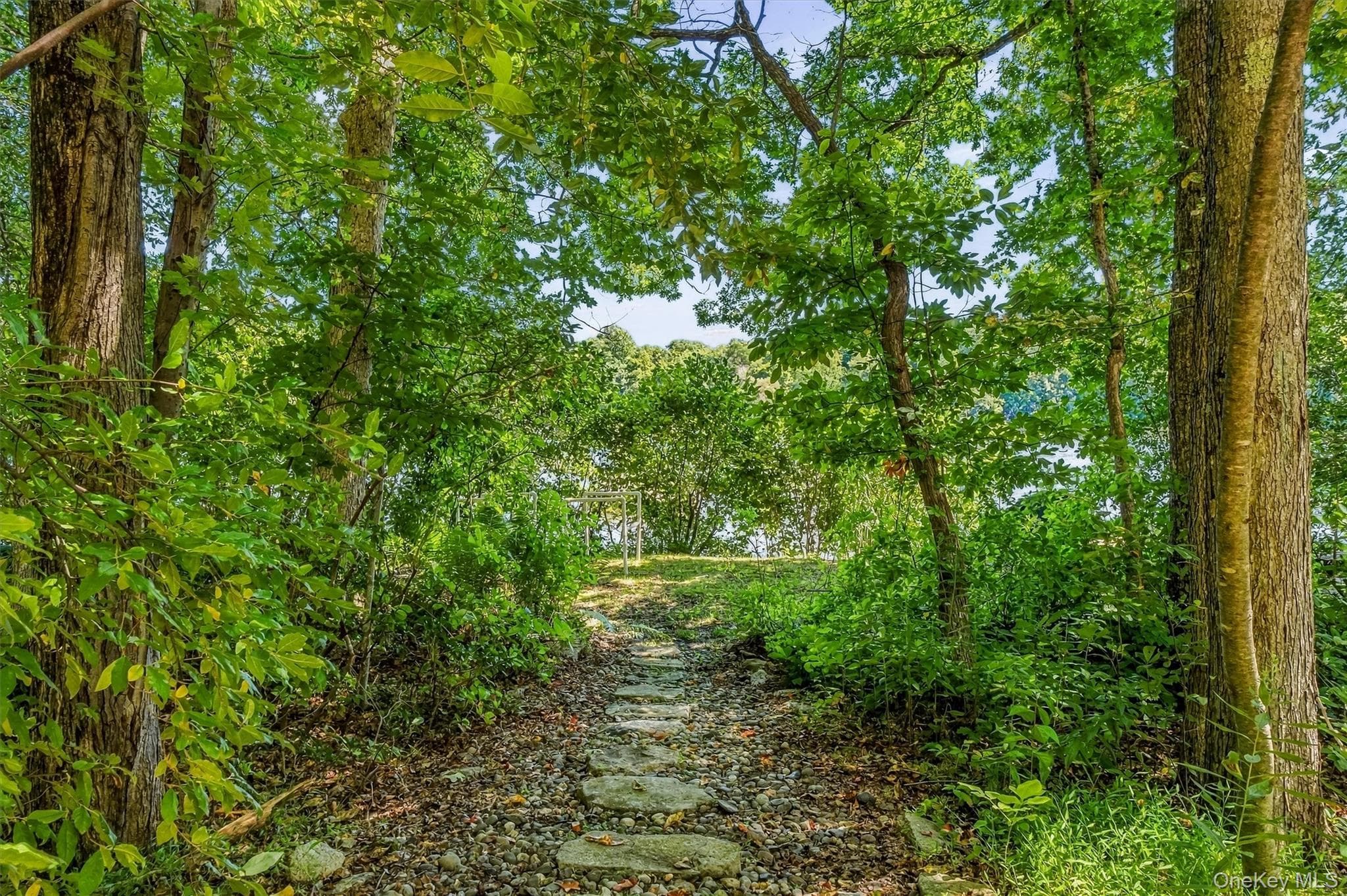 104 Old Forge Drive thumbnail 33