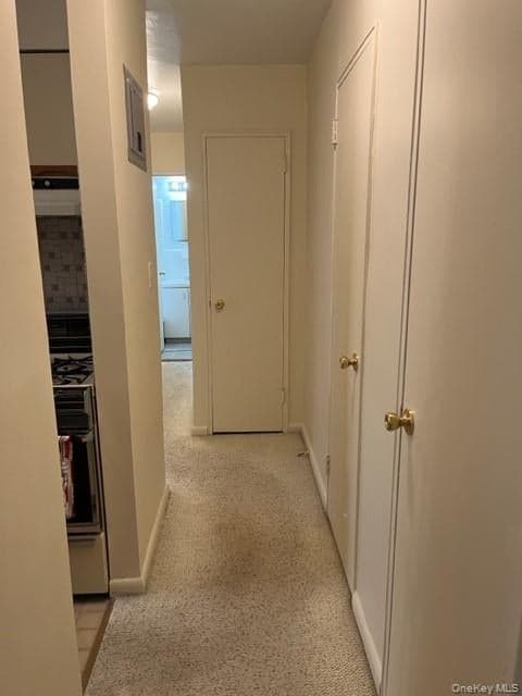 4727 Little Neck Parkway Unit: 4G thumbnail 7