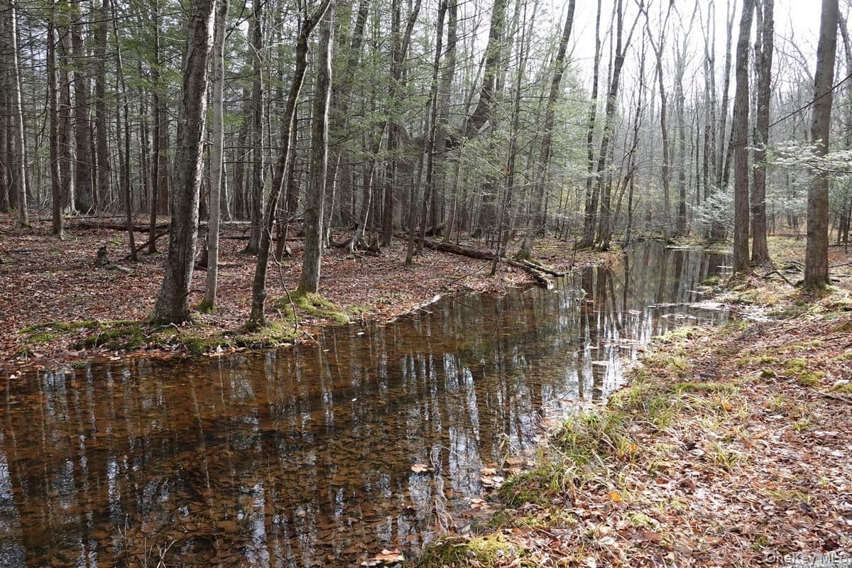 738 Manorville Road thumbnail 5