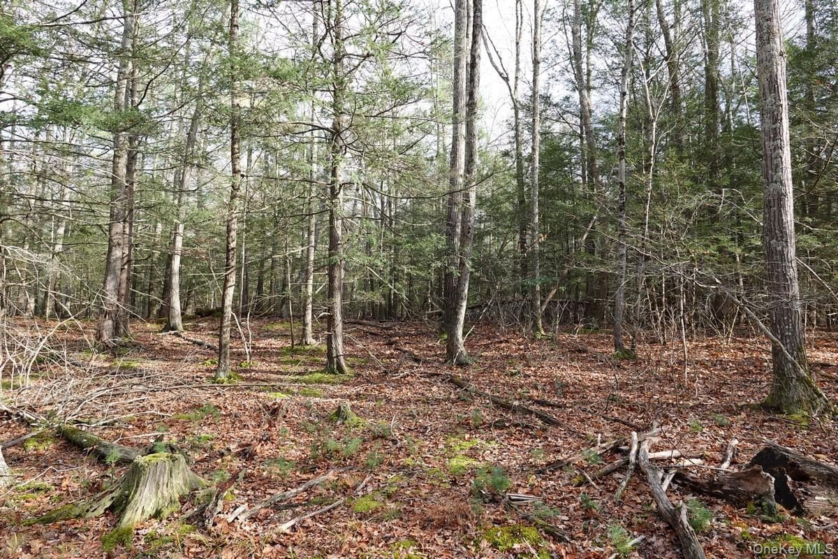 738 Manorville Road thumbnail 2