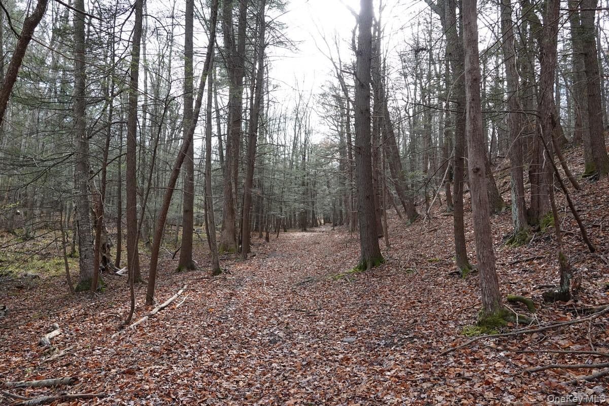 738 Manorville Road thumbnail 4