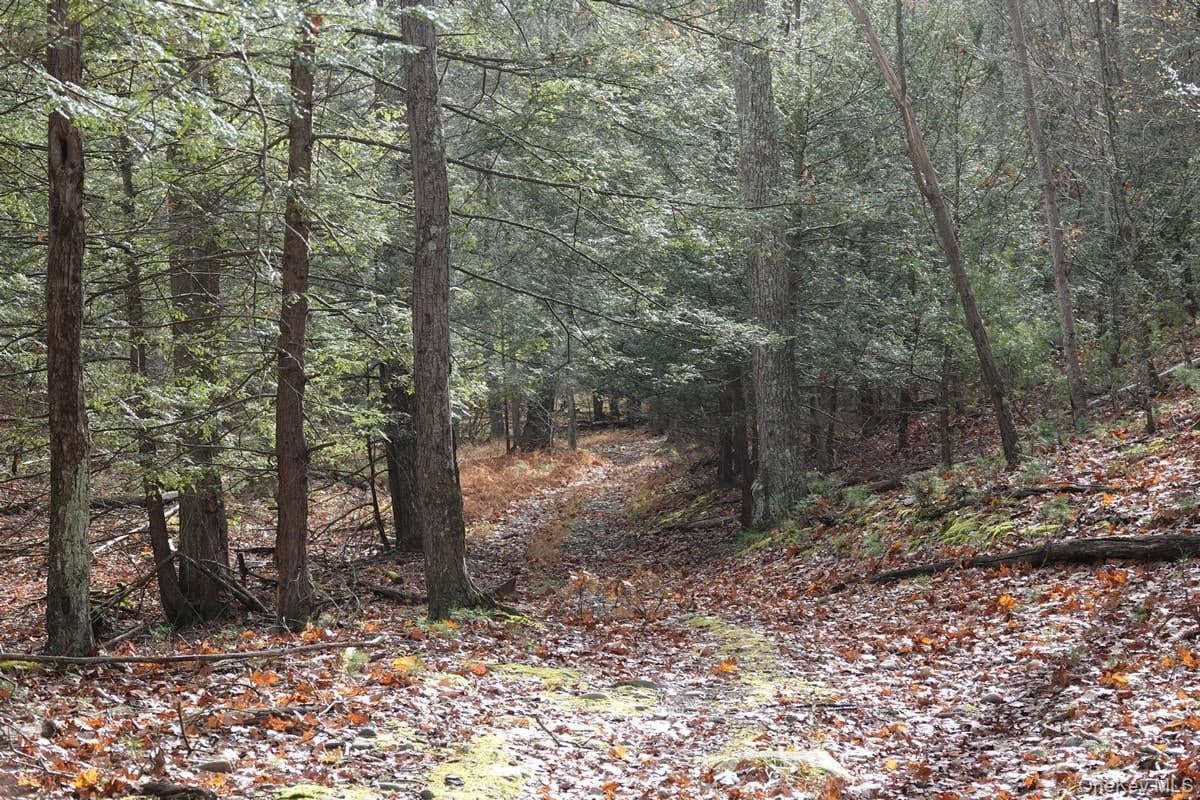 738 Manorville Road thumbnail 15