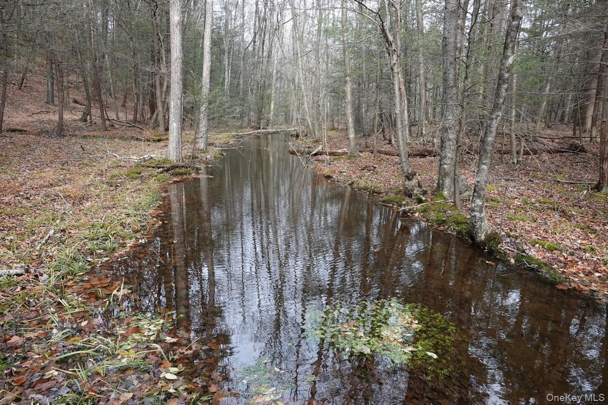 738 Manorville Road thumbnail 7