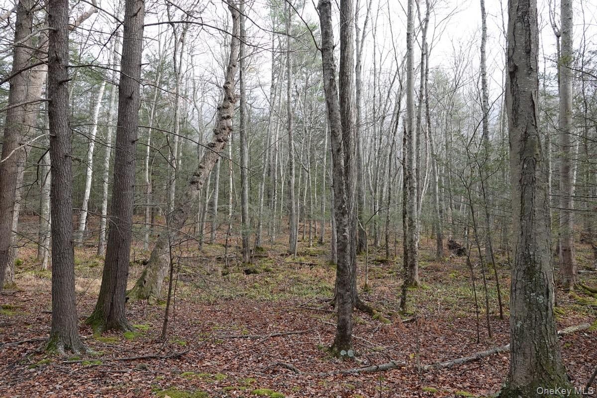 738 Manorville Road thumbnail 14