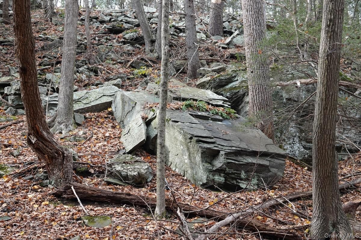 738 Manorville Road thumbnail 9