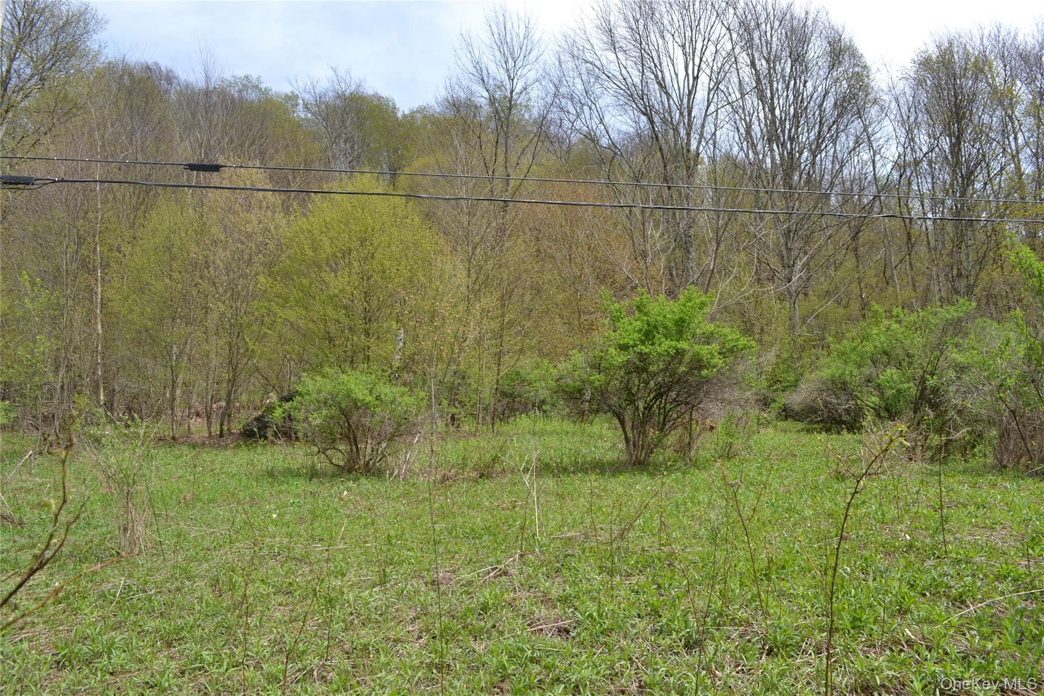 756 County Highway 21 thumbnail 29