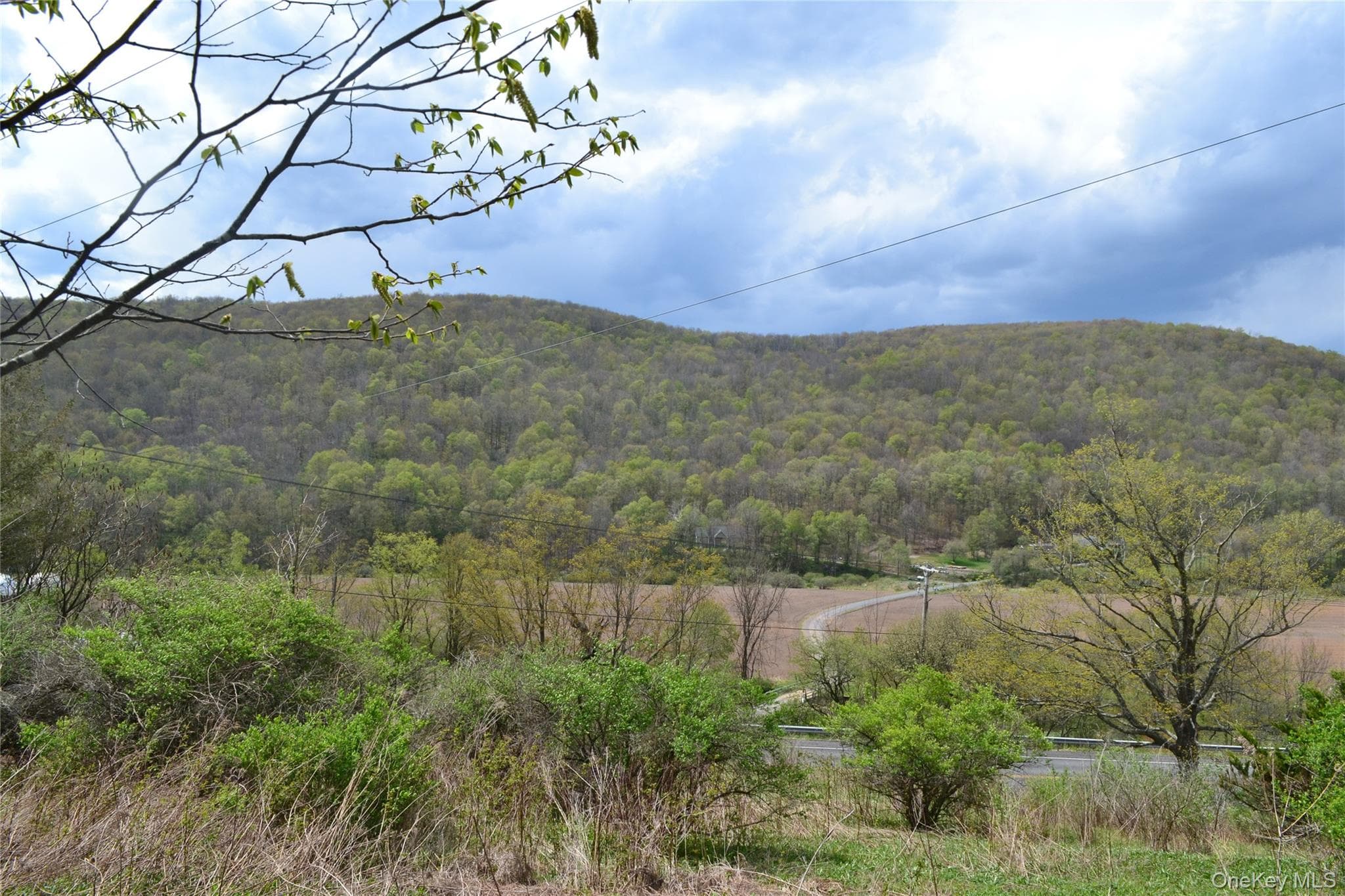 756 County Highway 21 thumbnail 31