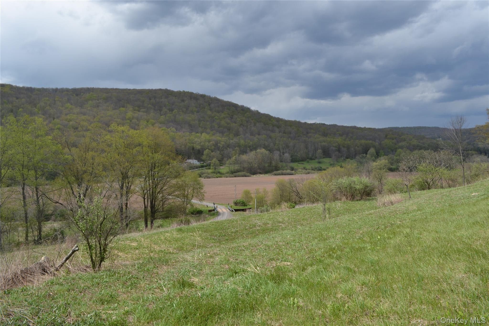 756 County Highway 21 thumbnail 34