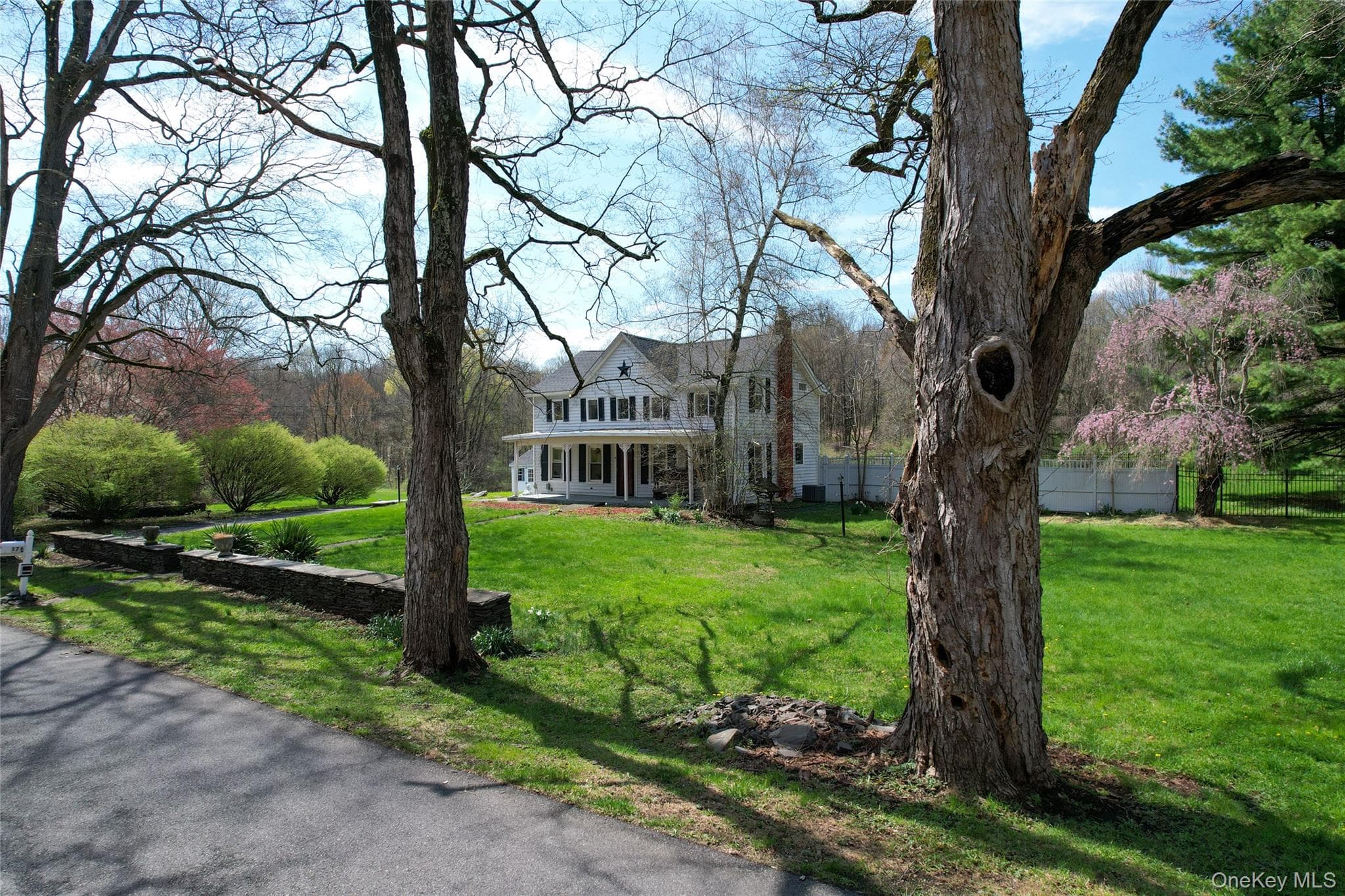 176 Williams Road thumbnail 33