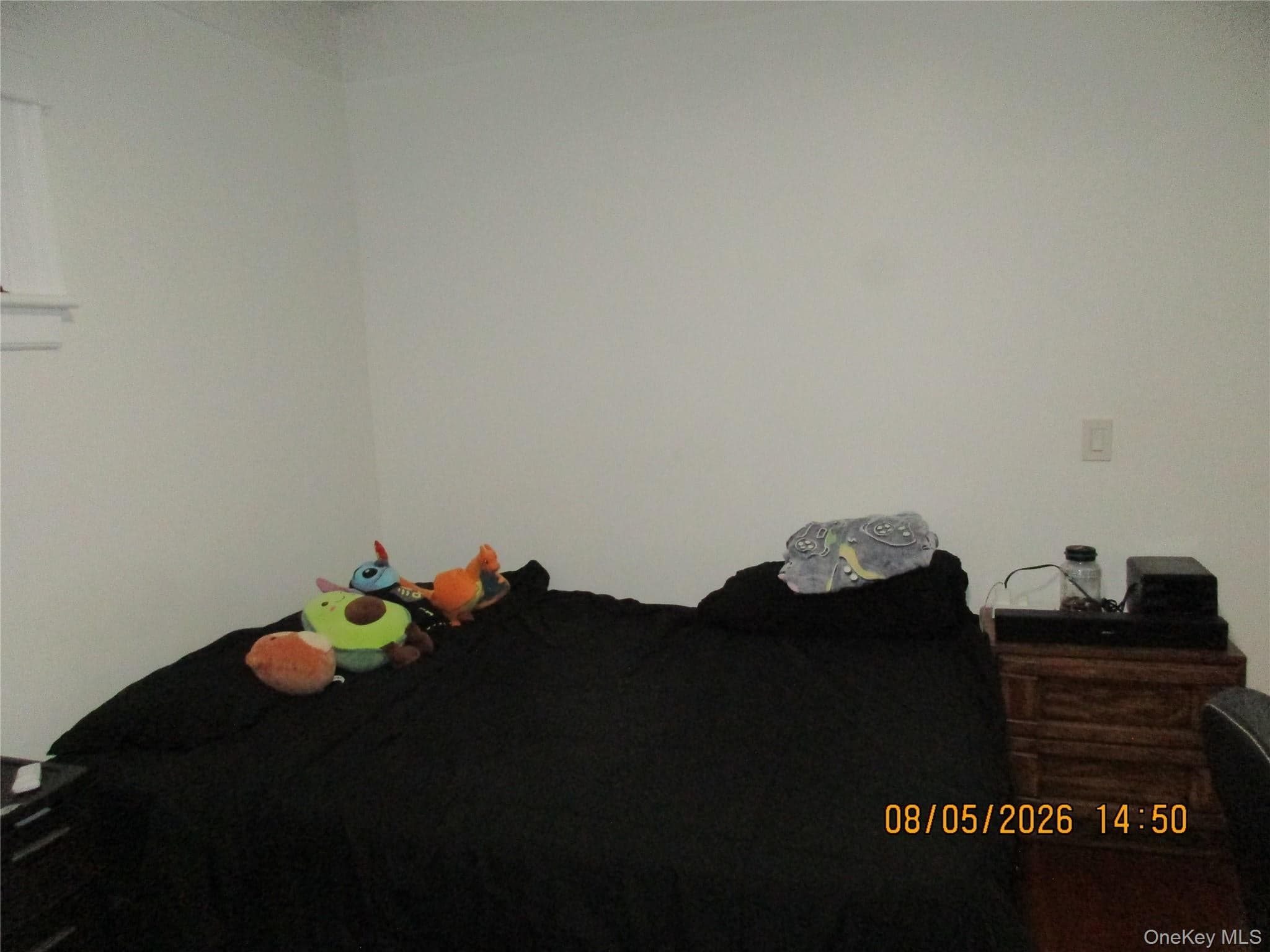 67-43 79th Street thumbnail 28