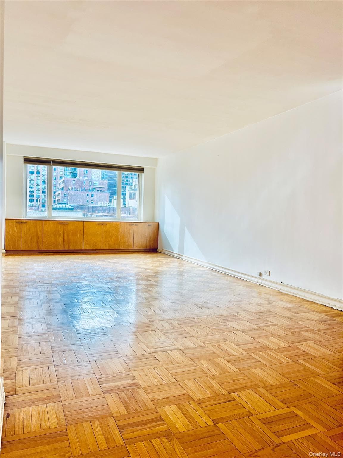411 E 53rd Street Unit: 8L thumbnail 2