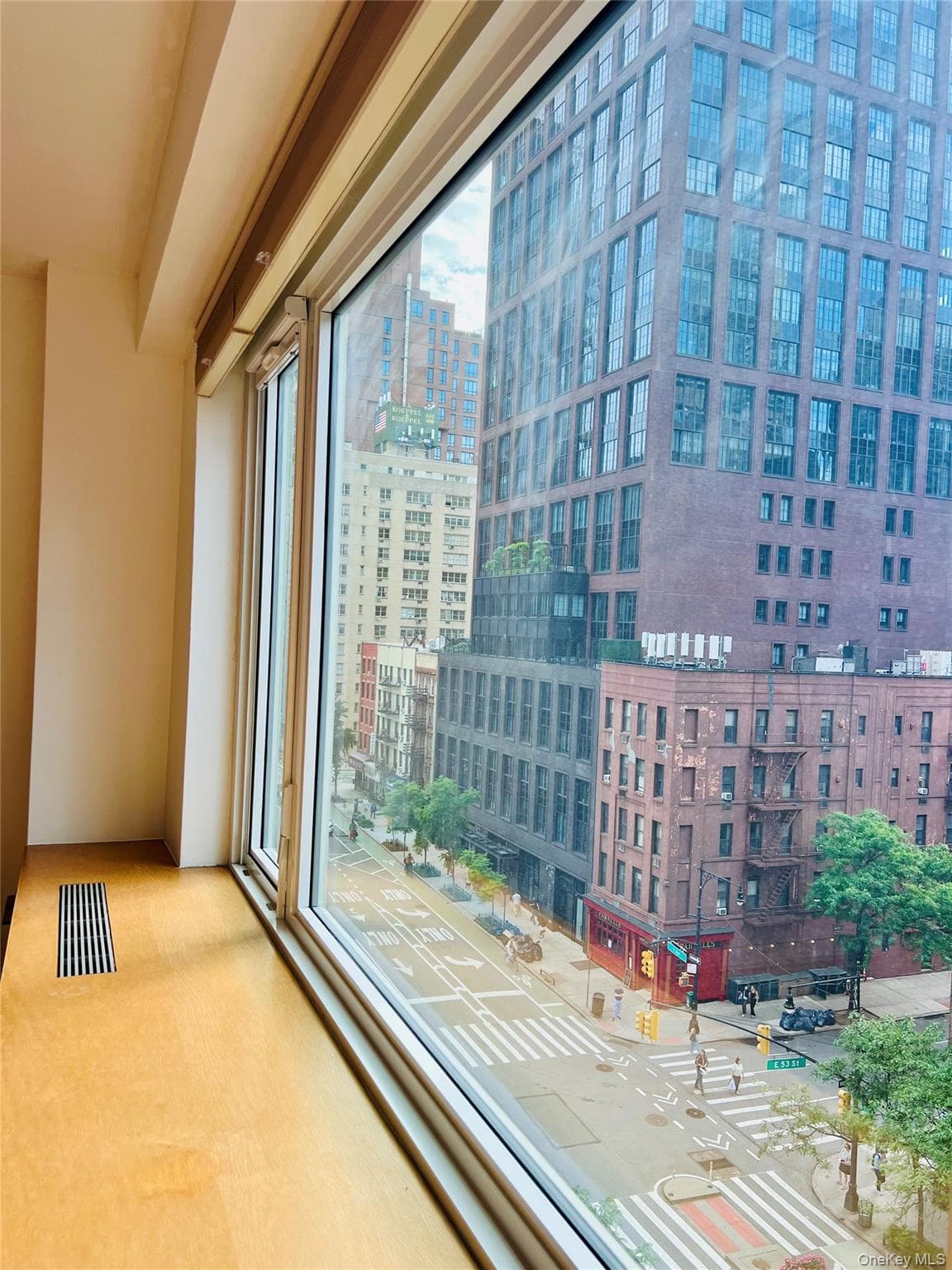 411 E 53rd Street Unit: 8L photo 1