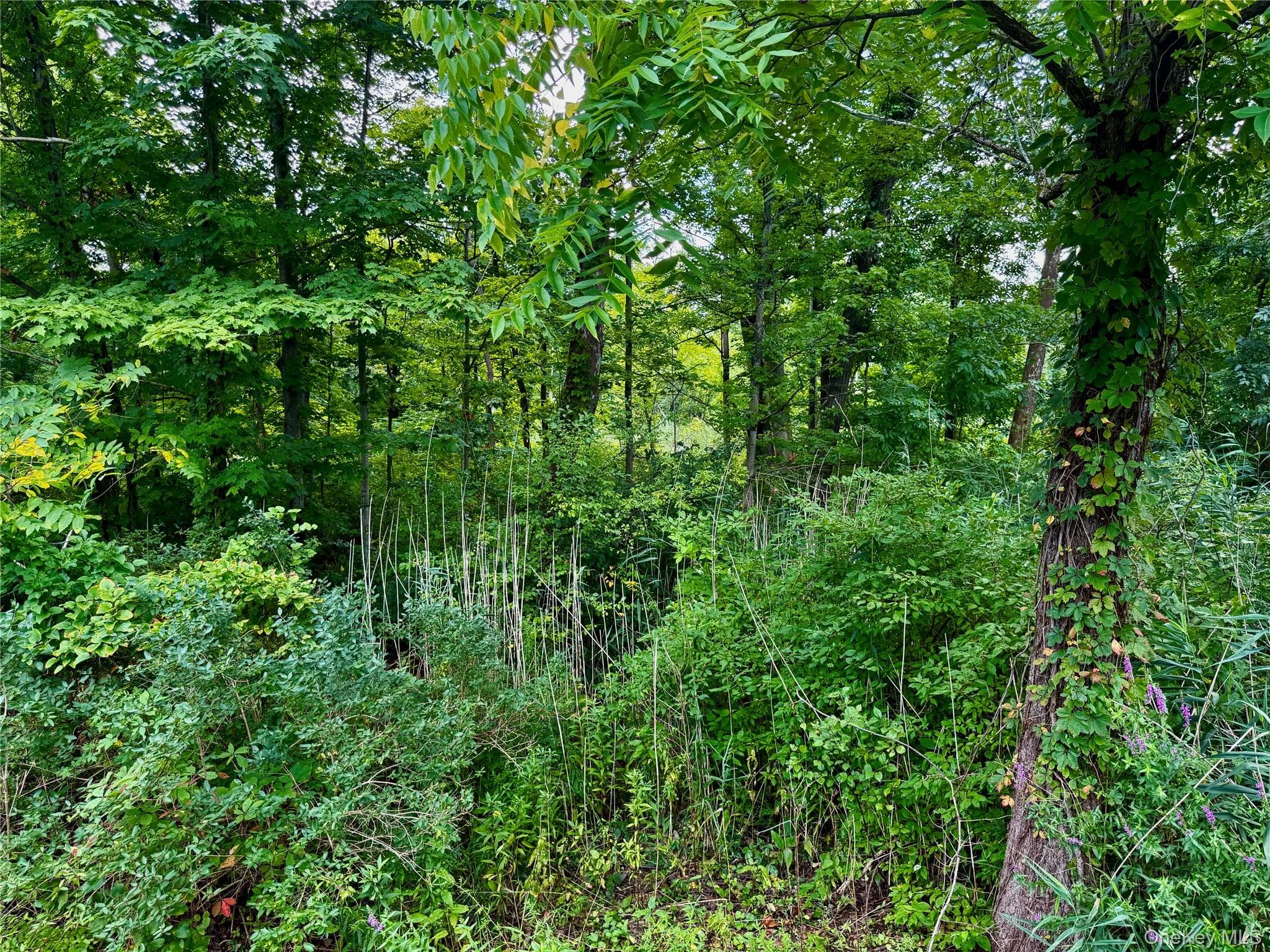 26 Fishkill Hook Road thumbnail 8