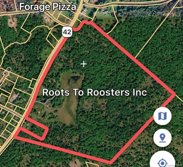 2758 State Route 42 thumbnail 42
