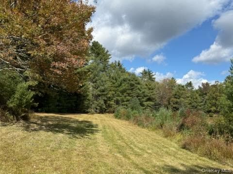 2758 State Route 42 thumbnail 9