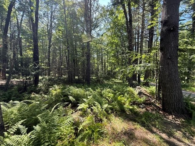 Lot 3.18 Fish Cabin Road thumbnail 9