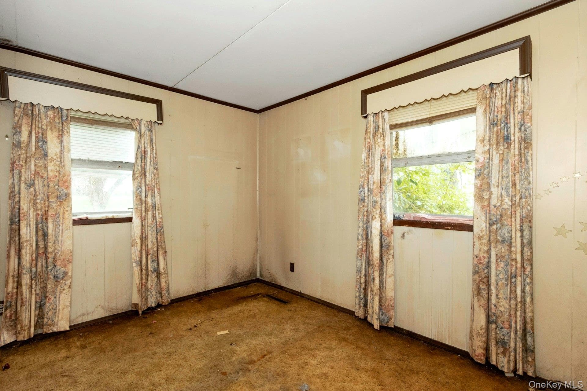 158 Violet Avenue thumbnail 16