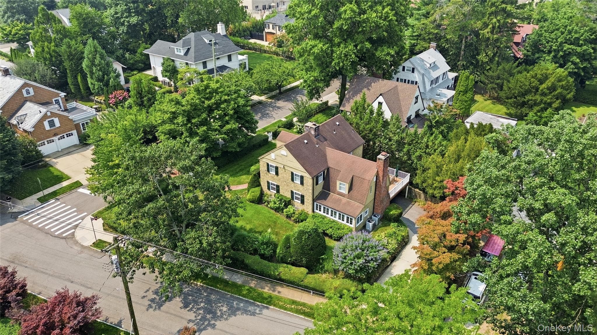 255 Manor Road thumbnail 39