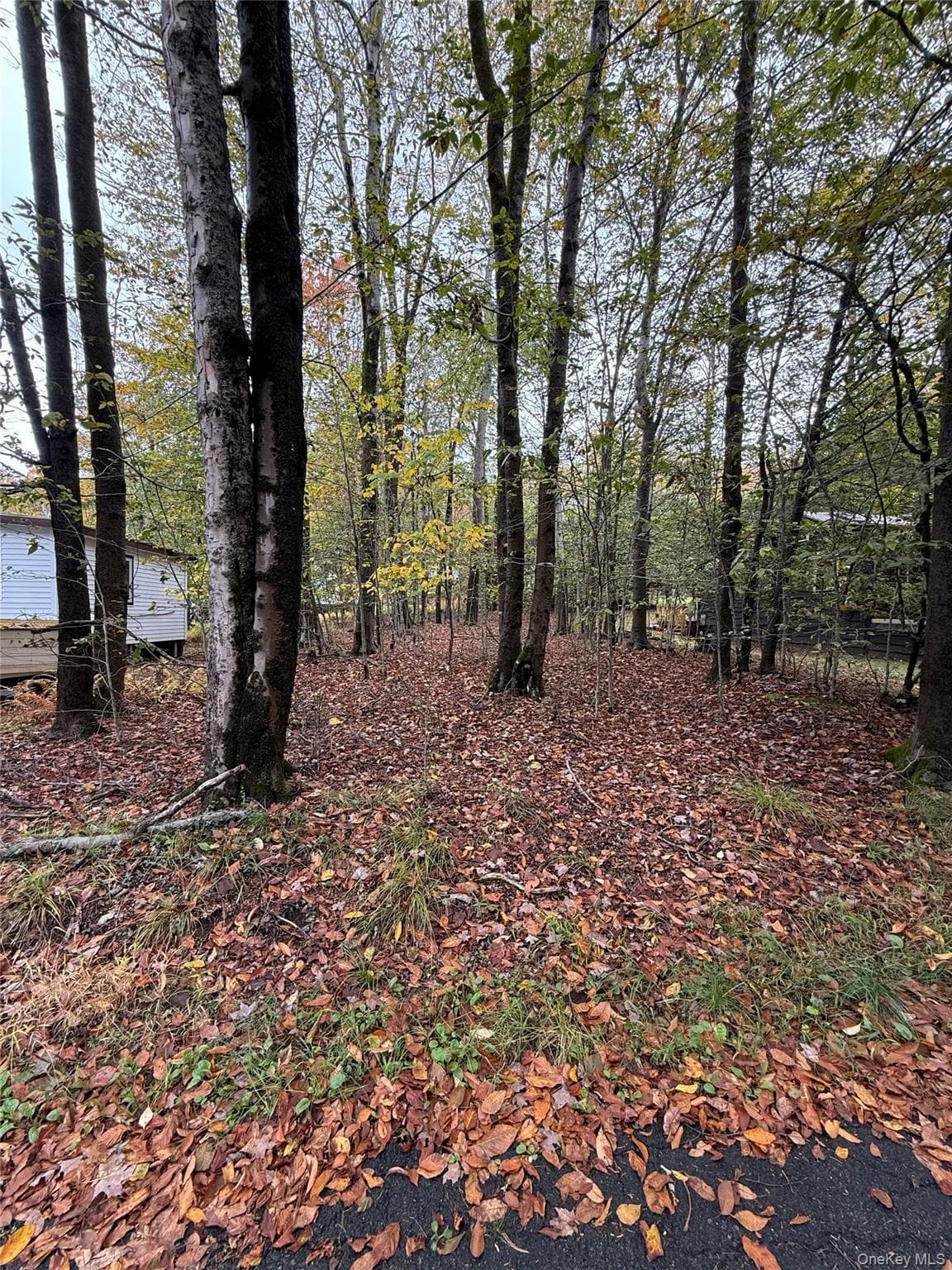 6 W Oakland Drive thumbnail 5