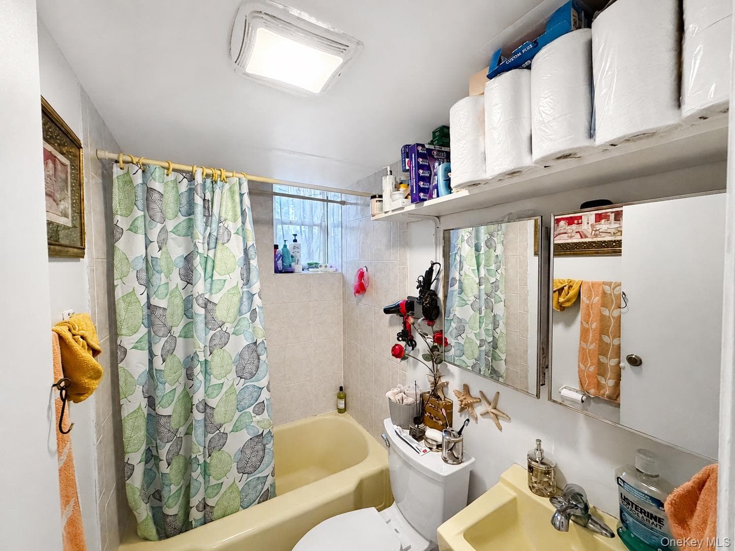 1 Davis Avenue thumbnail 19