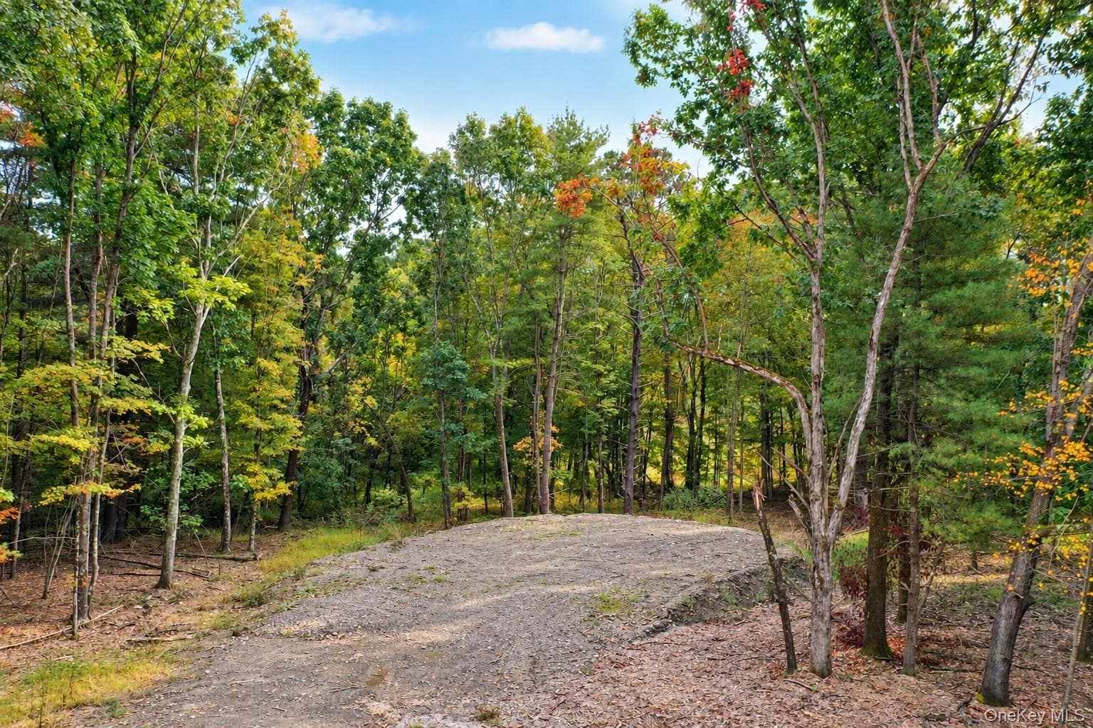 765 Academy Hill Road thumbnail 14