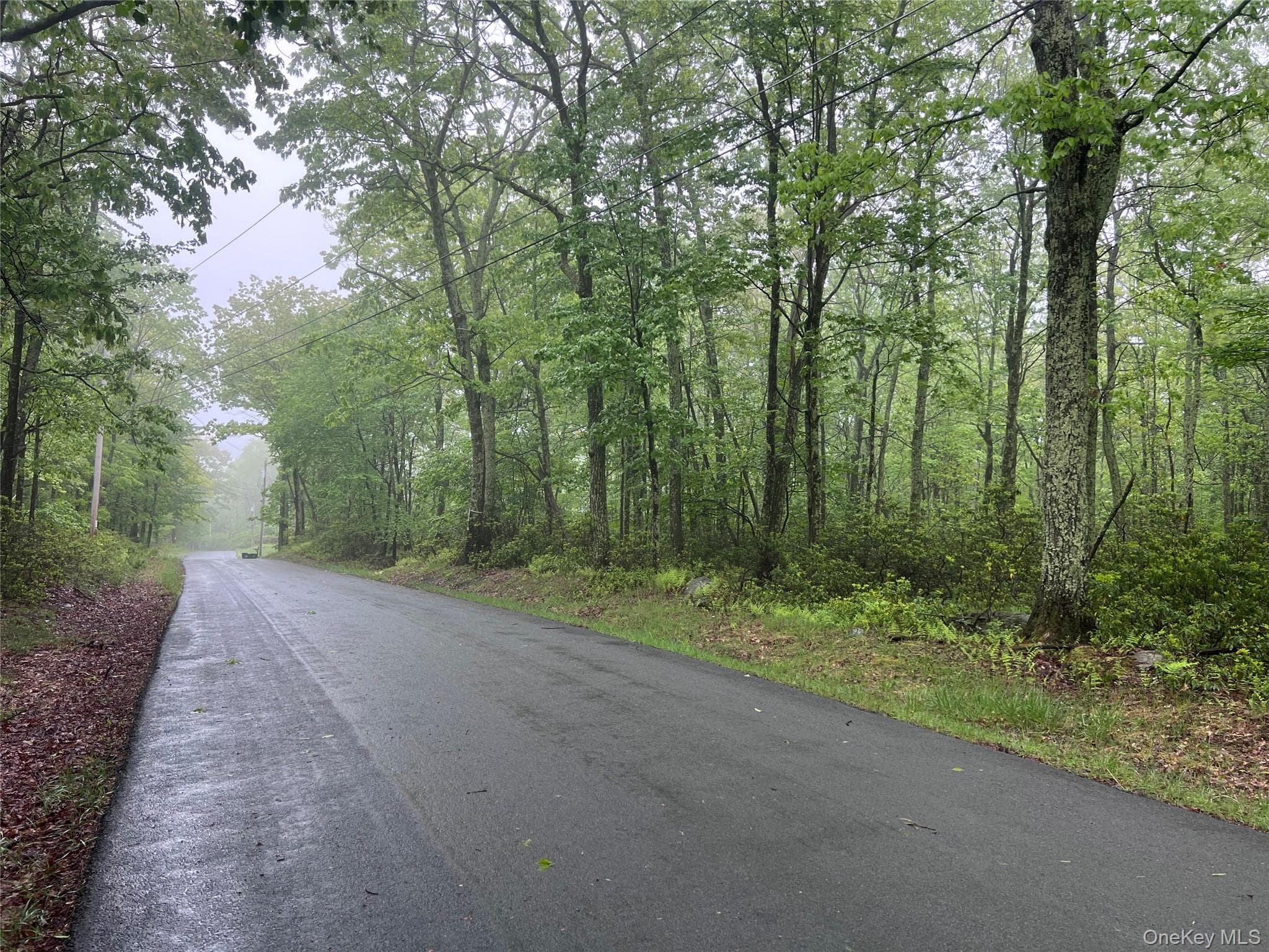 Budd Road, Wurtsboro