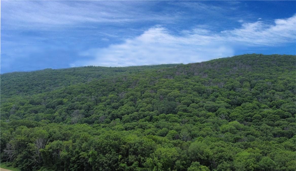Cascade Mountain Road, Amenia