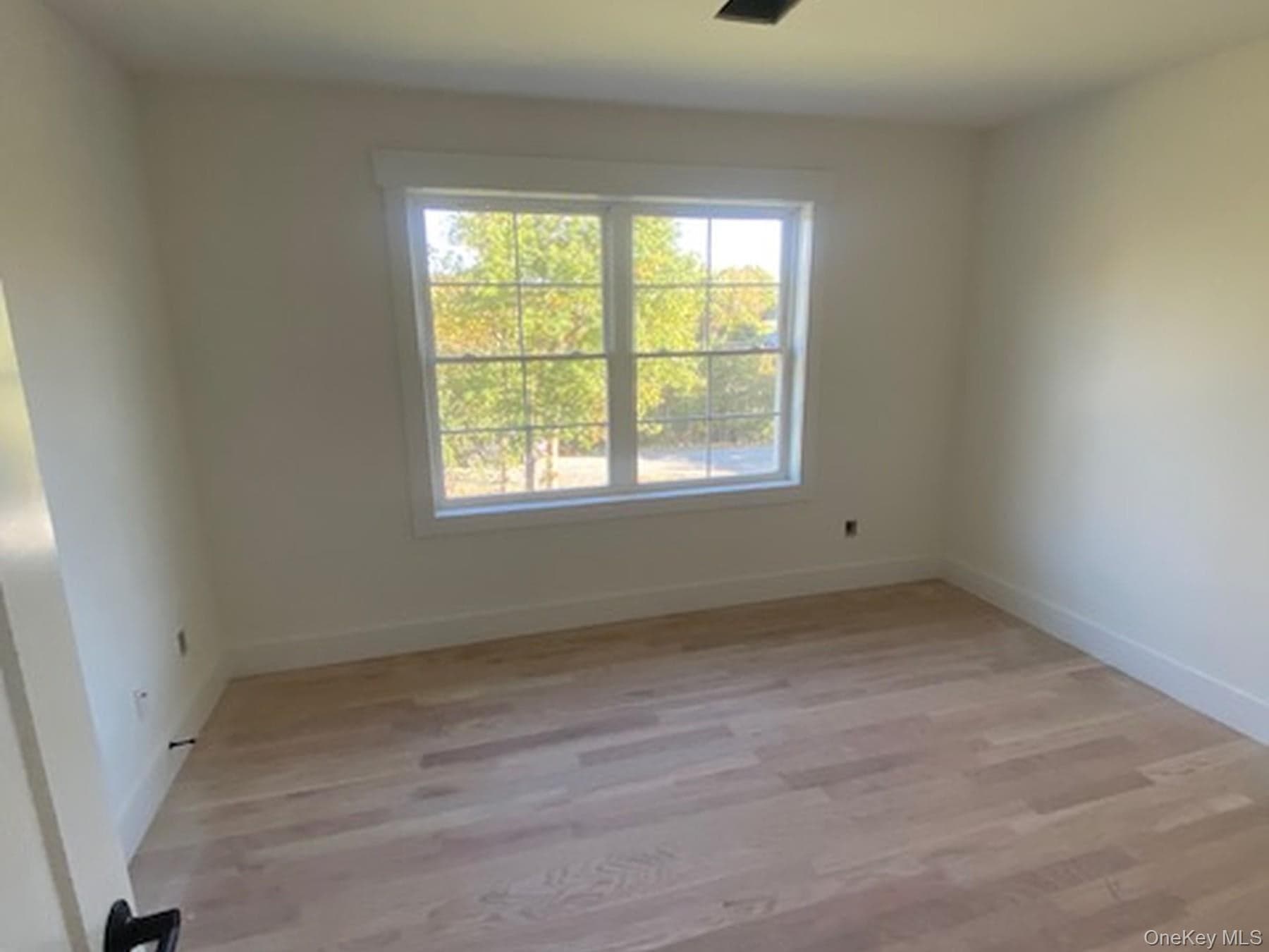175 Mulford Road thumbnail 19