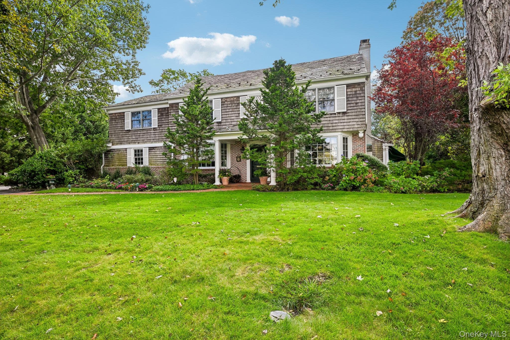 238 Cedar Avenue thumbnail 3