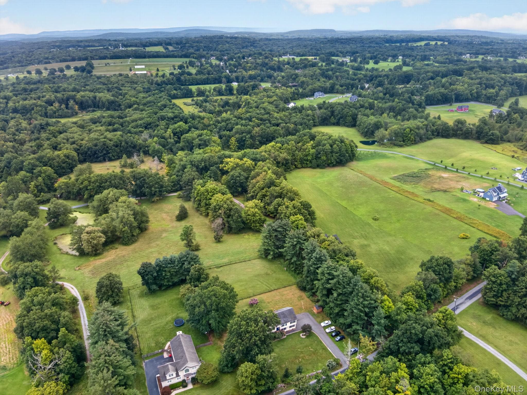 59 Gillespie Street thumbnail 40