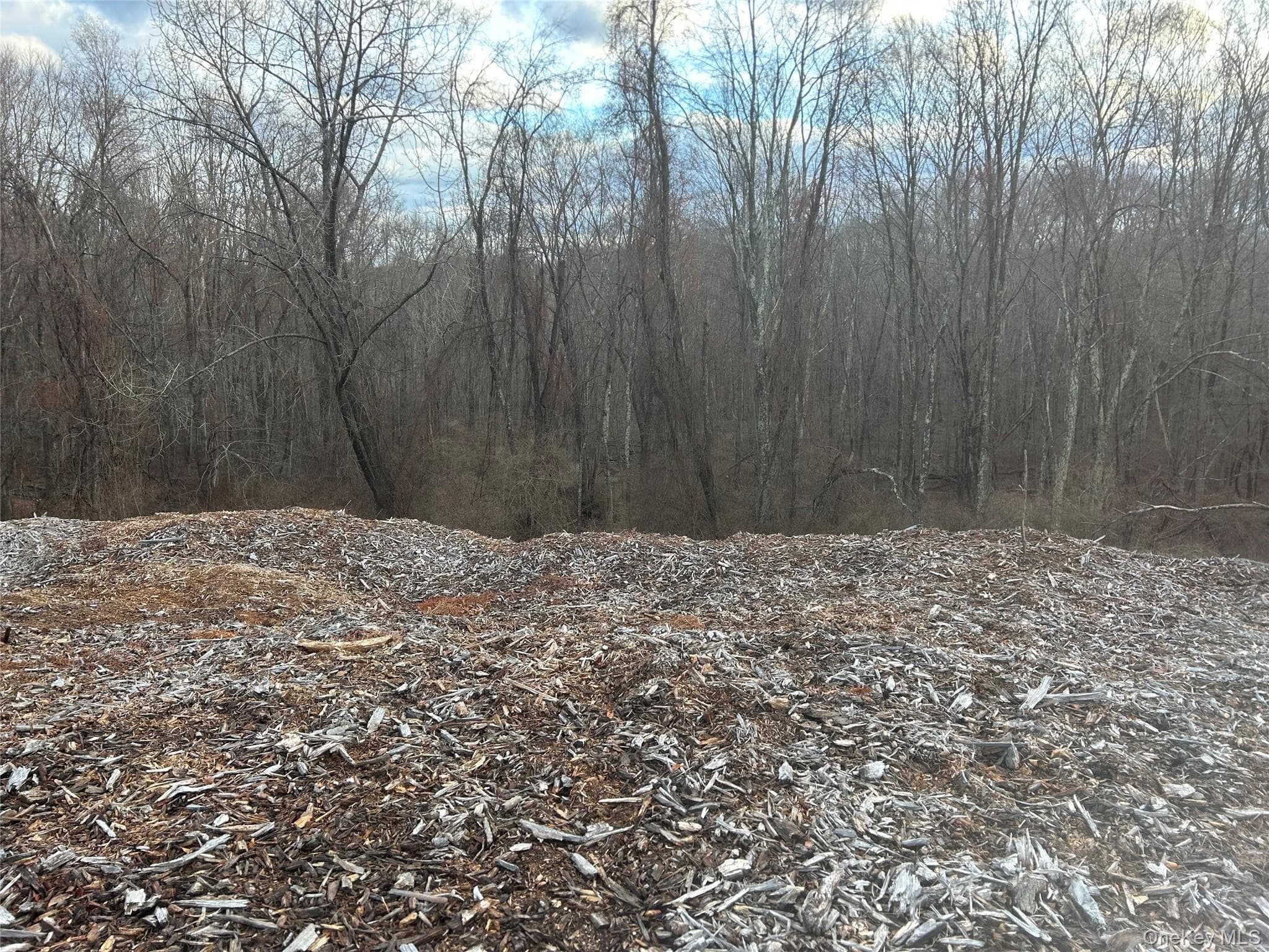 100 Ten Acre Lane (barret) Ln thumbnail 5