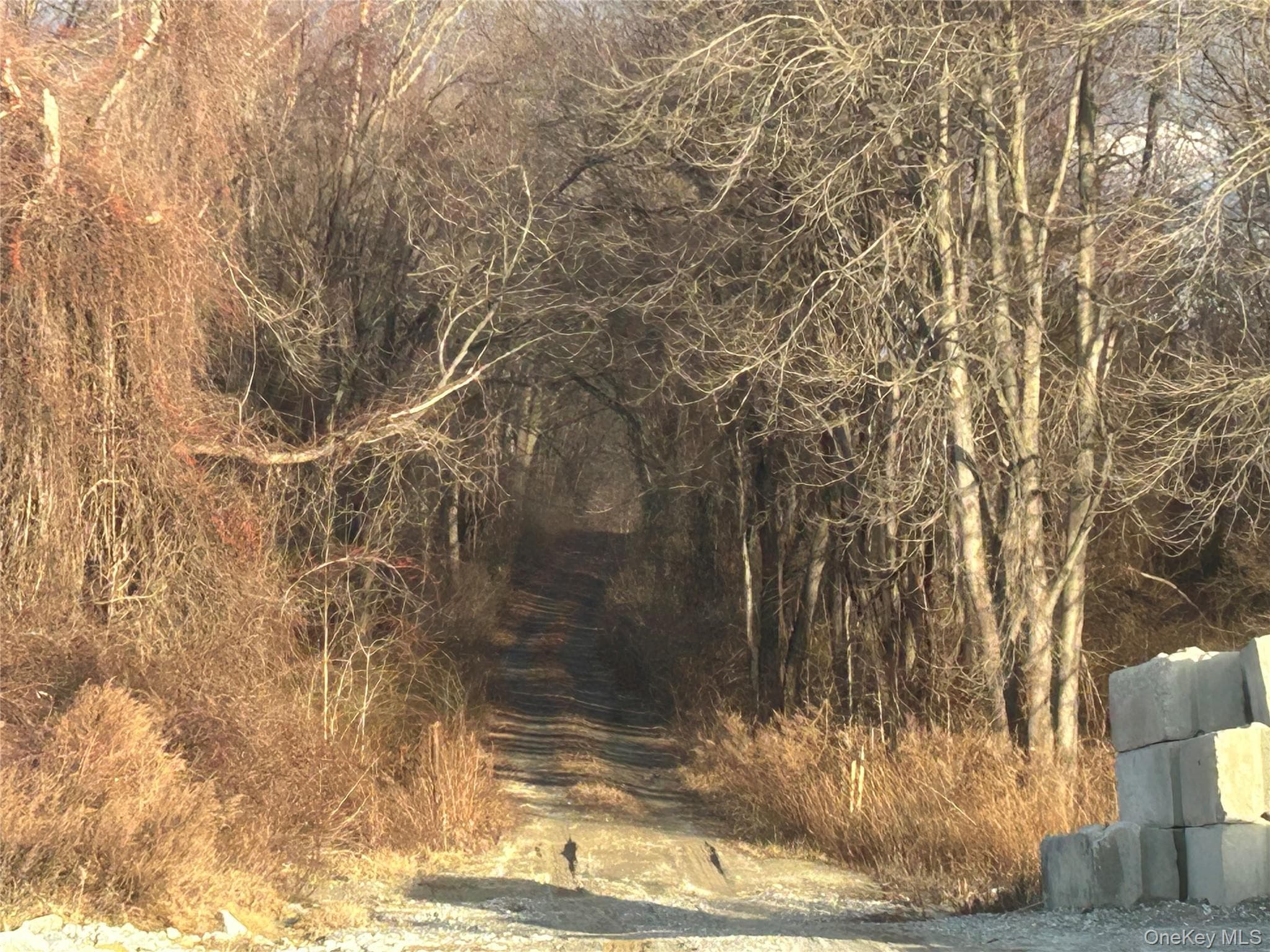 100 Ten Acre Lane (barret) Ln thumbnail 4