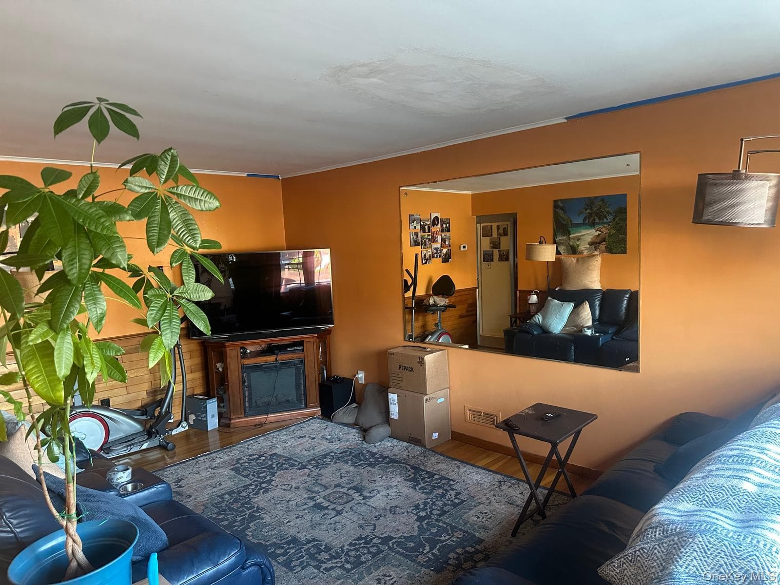 11516 Springfield Boulevard Unit: 1 thumbnail 5