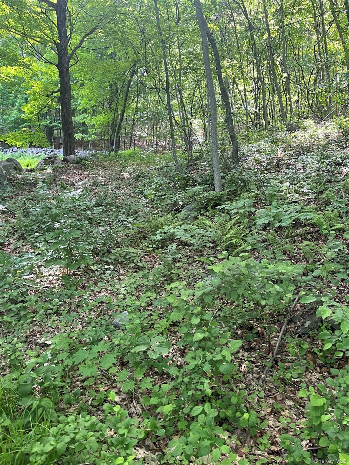 Old Church Road thumbnail 23